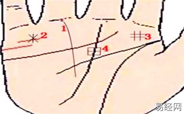 米纹手相