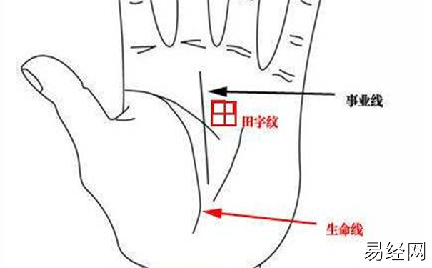 掌紋有田字