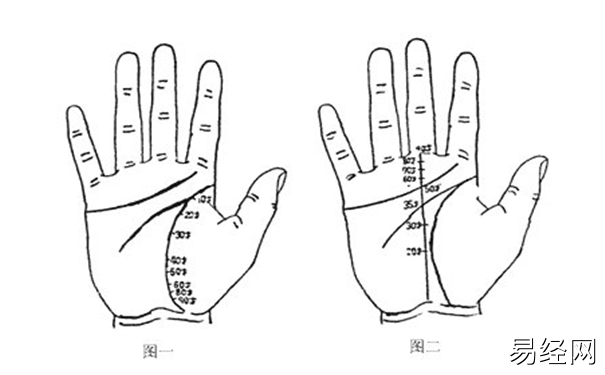 手掌纹路图解