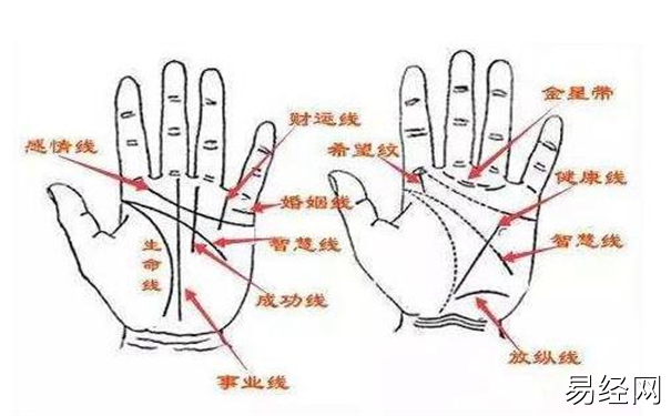 手相左右手差异