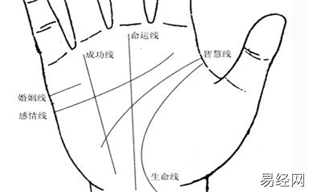 手掌纹