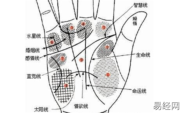 婚姻线手相