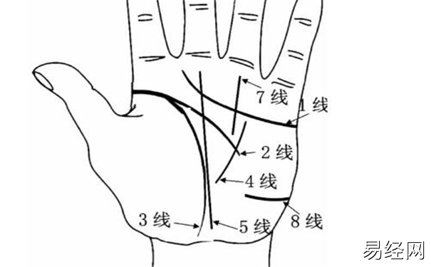 从手掌看