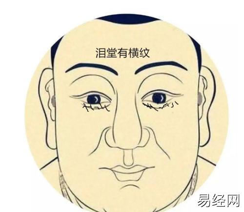 面部痣左右怎么分_面部拨筋经络图走向图_男人面部痣相最准图左右