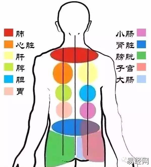 痣相男人背部痣相图解_男人背部痣相图解_男人背部痣相图解大全