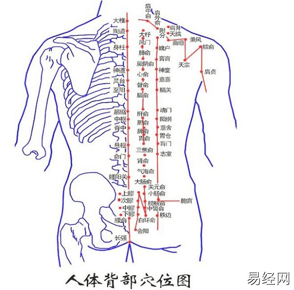 男人背部痣相图解大全_男人背部痣相图解_痣相男人背部痣相图解