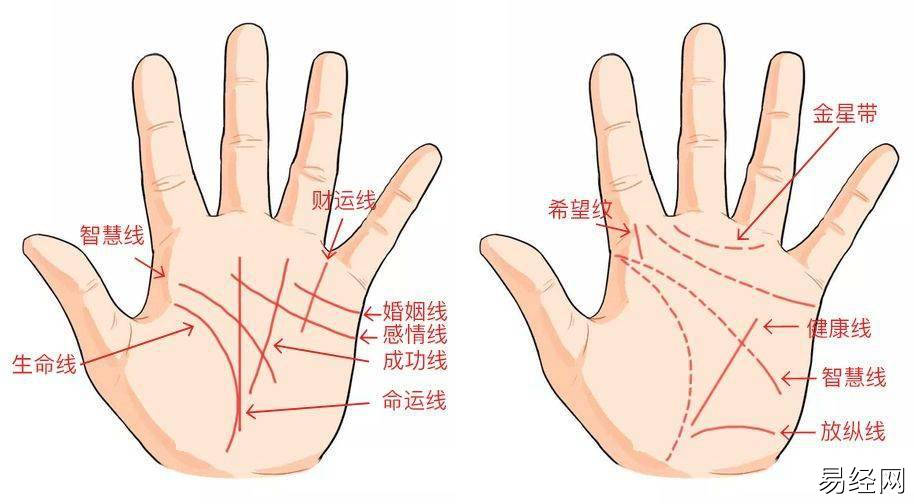 手相图解大全男智慧线_手相图解大全财运线_男看手相婚姻线大全图解