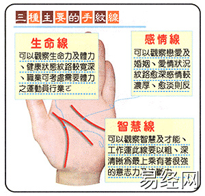 手相生命线感情线_1990年路旁土命的感情_天相坐命感情苦