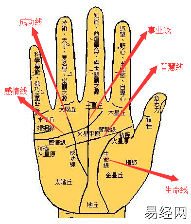 手相图解大全男右手_手相图解大全男智慧线_男手相右手智慧线