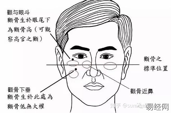 男人颧骨高额头窄面相_男人额头窄颧骨宽面相_颧骨高下颌角宽额头窄面相