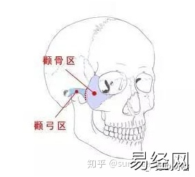 男人颧骨高额头窄面相_颧骨高下颌角宽额头窄面相_男人额头窄颧骨宽面相