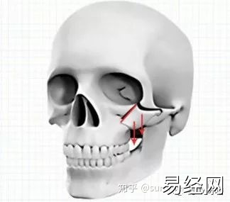 男人颧骨高额头窄面相_男人额头窄颧骨宽面相_颧骨高下颌角宽额头窄面相