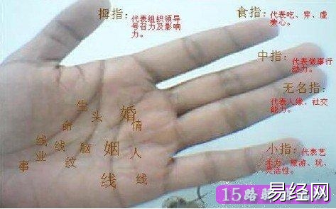 男人右手手相图解_男人手相右手大全_女士右手手相图解大全