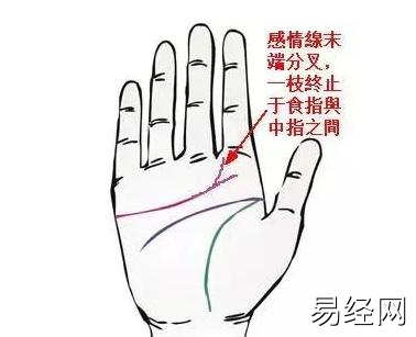 男士手相图解_手相没有事业线怎么看婚姻_男士手相图解婚姻线