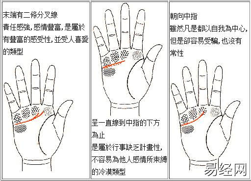 女人手相命运线图解_女人手相无感情线_女人手相财运线图解