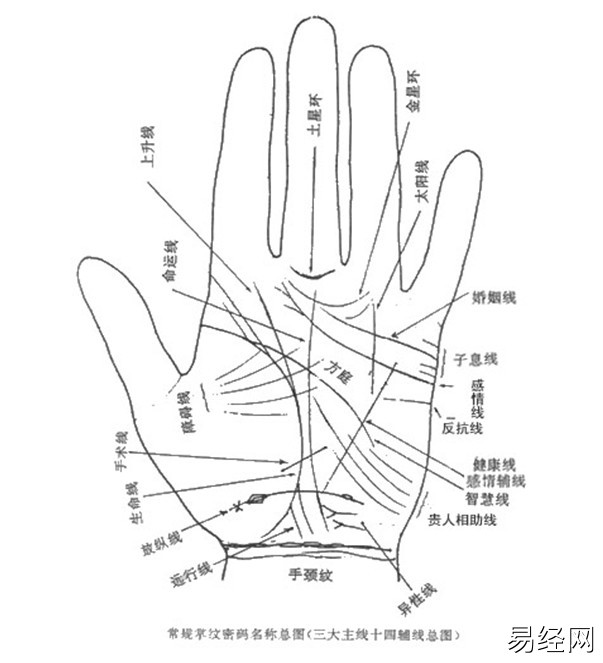 感情线岛形纹手相图片_手相上的岛纹是什么_手相岛纹是什么意思