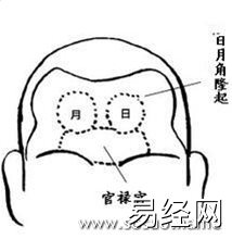 额头不饱满怎么办_饱满额头的标准_额头饱满的孩子面相