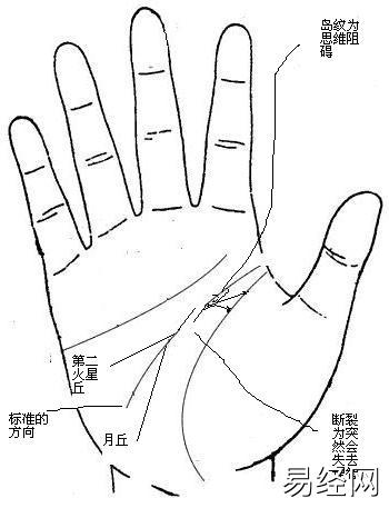 手相智慧线很长_如何看智慧线女手相_手相女智慧线看未来