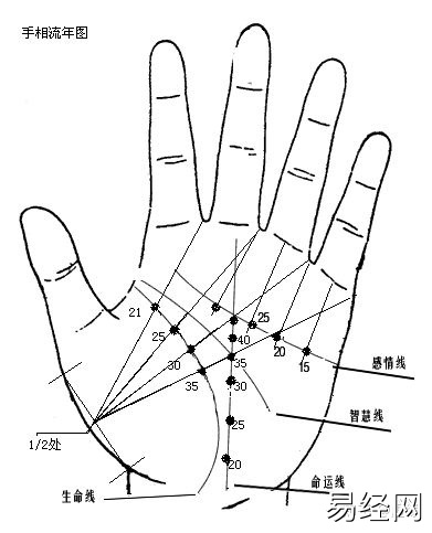 手相图解大全女左手感情线断裂_手相图解大全男左手_男人手相图解大全左手 财运