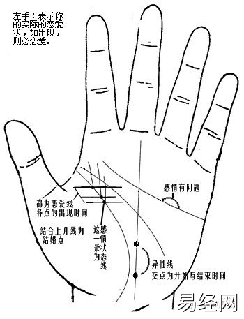 手相图解大全男左手_男人手相图解大全左手 财运_手相图解大全女左手感情线断裂