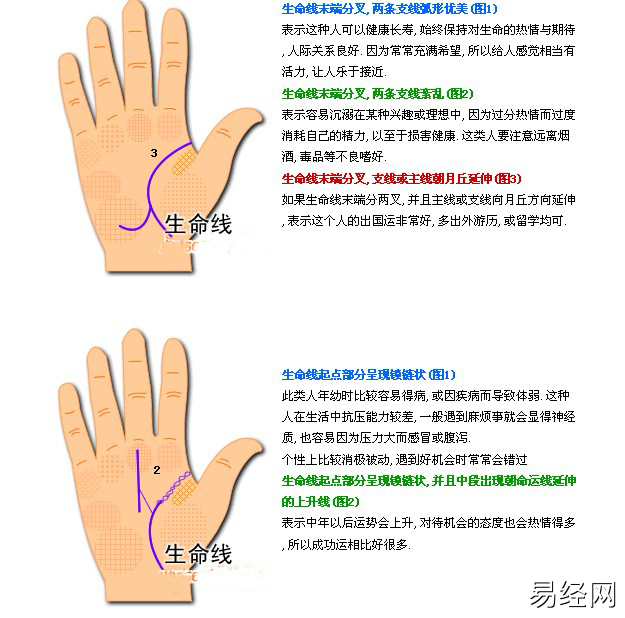 看手相右手生命线断开左手生命线完好_姻缘线看左手还是右手_手相 左手右手