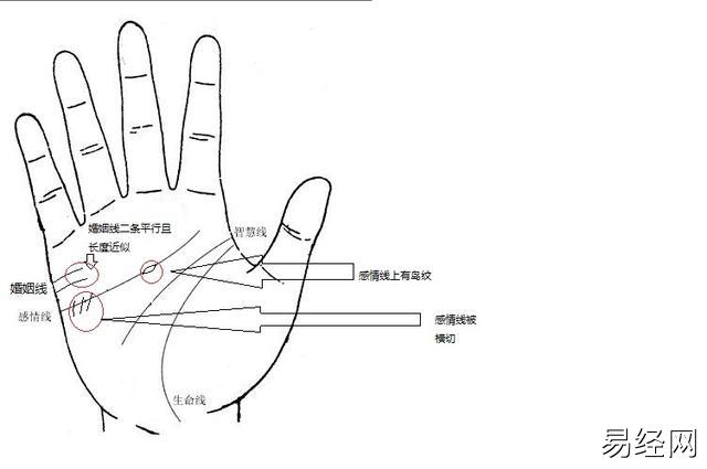 智慧线末端有岛纹_成功线在感情线上方有岛纹手相女_有事业线成功线的手相