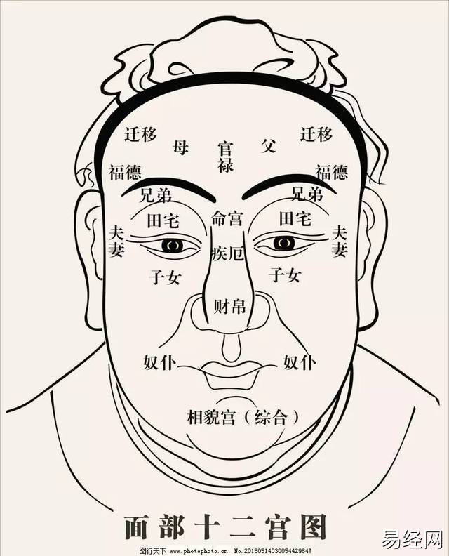 男人的“面相”与智商相比起来更加大的差异