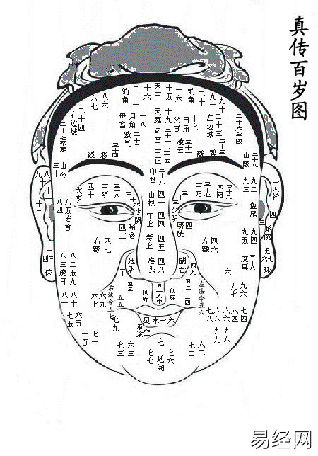 有关:有关面相学的基础知识大全