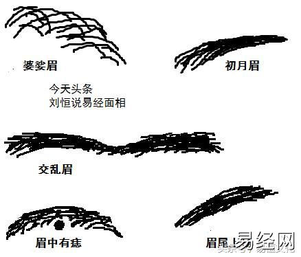 眉毛面相决定你的情理性格！你知道吗？