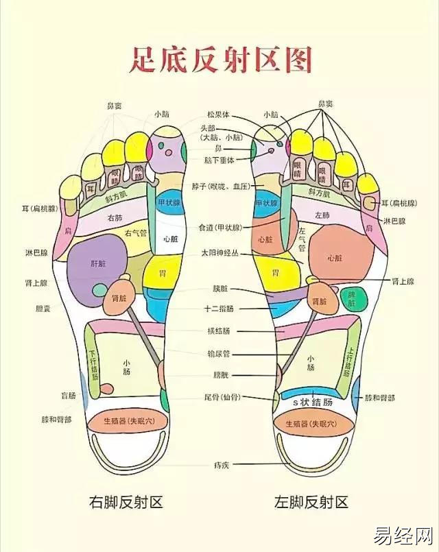 男人脚上长痣代表什么男人脚痣相图解男人长痣是好还是坏