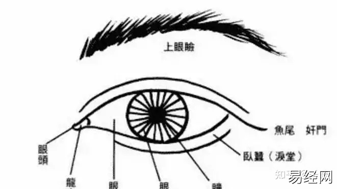 从面相学来讲，什么样的面相会有贵气呢?(组图)