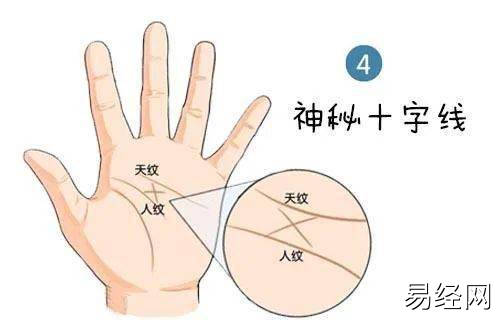 传统的手相是以纹路线纹为重要参考而现代手相