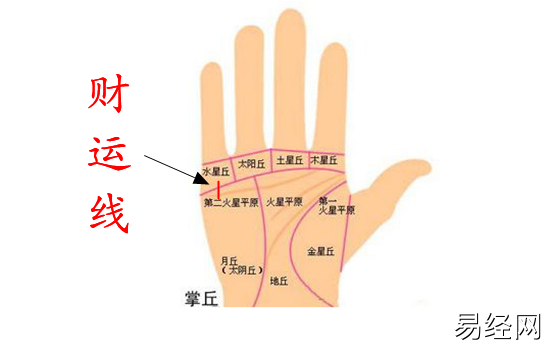 有川字断掌纹断掌手相的男人