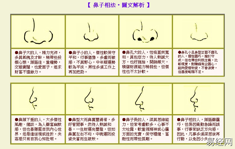 小编为鼻头大的女人面相解析与命运鼻年寿低