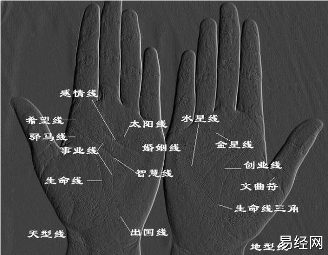 手相上没有生命线的人并不代表寿命短生命线代表什么那呢