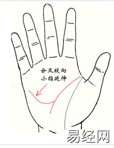 手相智慧线中间分叉代表什么？凹凸部起名网（图解）