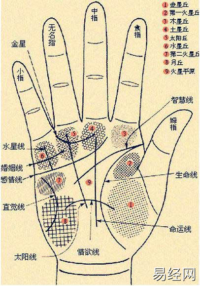 手相五大线纹，你知道几个？！