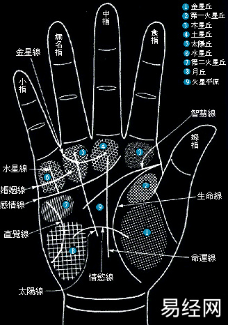 手相四条线的位置和各自代表着什么？(图)