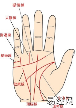 手相四条线的位置和各自代表着什么？(图)