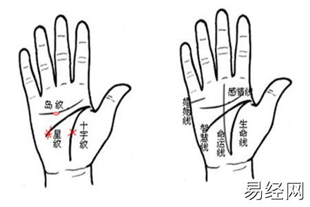 手相学中看出你未来的婚姻，而在岛纹影响线