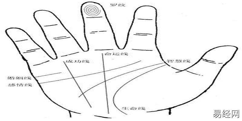 手掌纹怎么看手相的解析，造化玄奇解析！