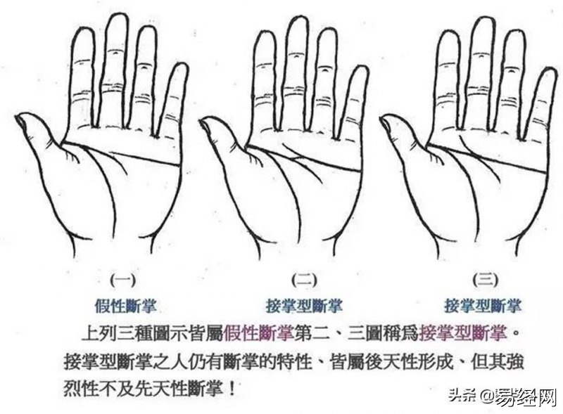 断掌纹的手相图解详解，男人左手断掌是什么命好不好-第5张图片-文哥运势网