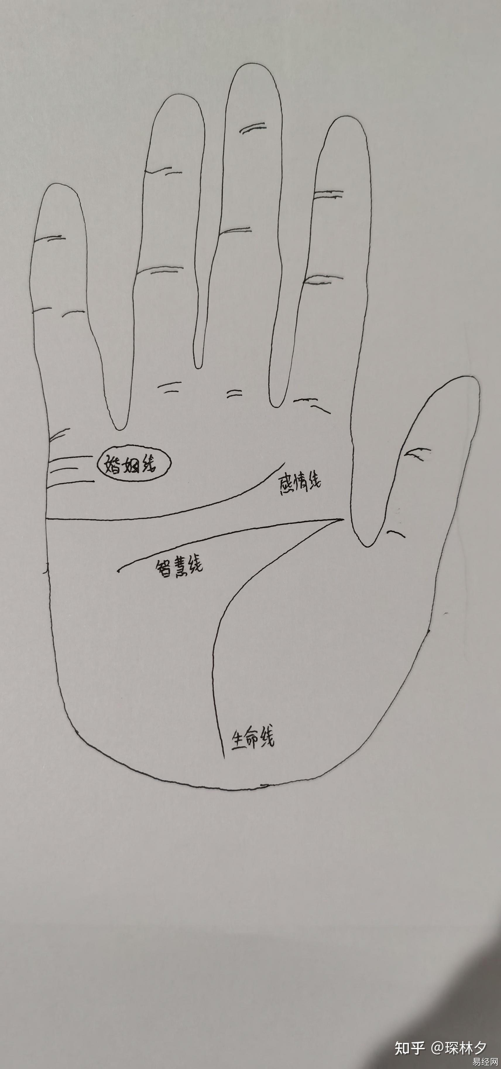 最全风水堂:50个手相纹路解析，婚姻线、智慧线为