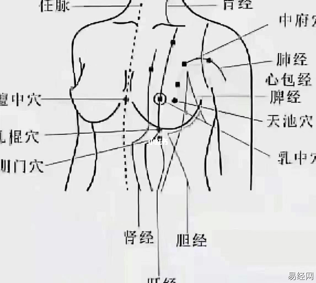 女性胸前长痣图解 接下来,：善于经商，财源旺盛，一生富足有余！