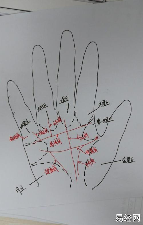 部分手掌纹路图解