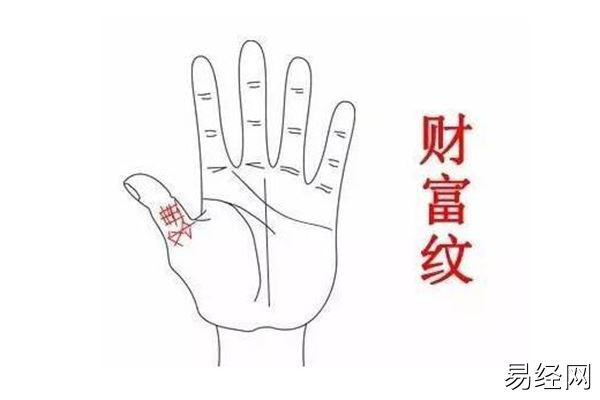 天生富贵命的女人手相详解，你了解吗？