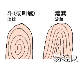 怎么从十指指纹算命看你命运吉凶？怎么看性格？