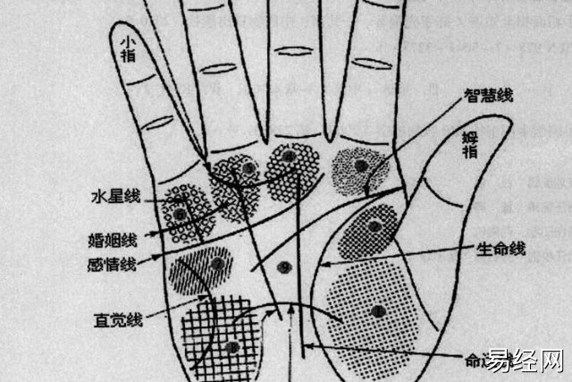 风水堂:男人手相事业线如何看运势