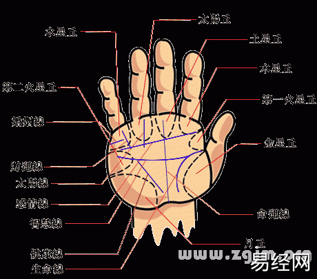 男人的手相什么样的最好男人手相