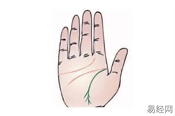 事业线末端分叉的作用，你知道吗？